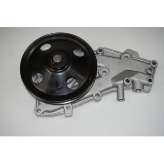 Pompe à eau LTD OEM 7701467153