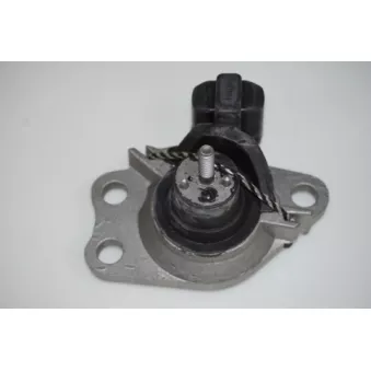Support moteur LTD LTD-8200267625