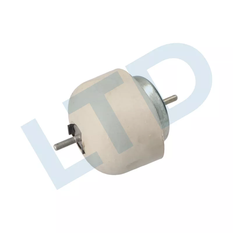 Support moteur LTD LTD-8D0199382AP - Visuel 1