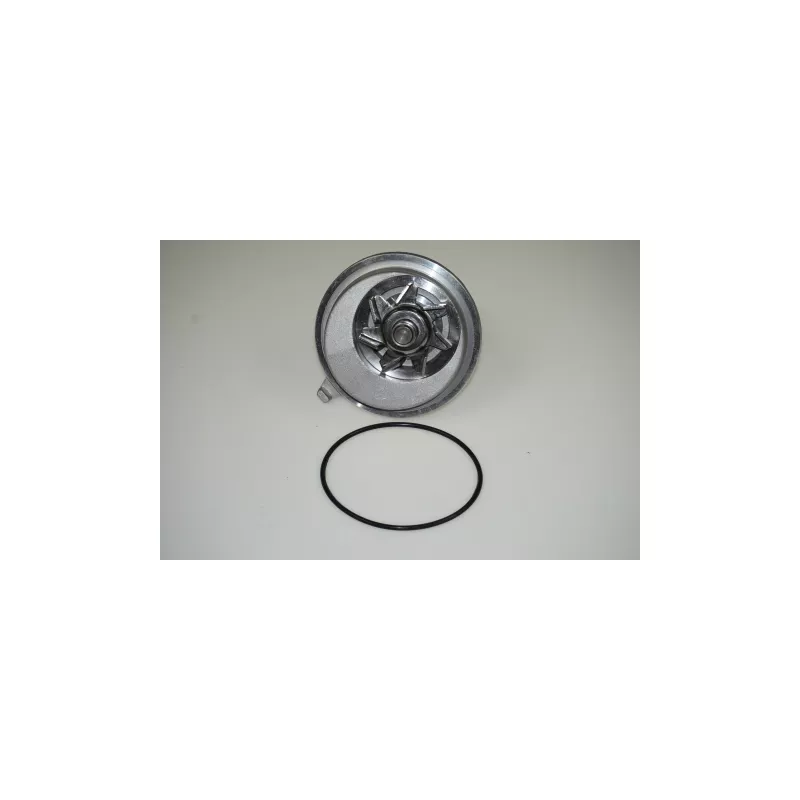 Pompe à eau LTD LTD-90284802 - Visuel 1