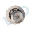 LTD LTD-96350799 - Pompe à eau