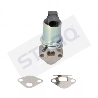 Vanne EGR STARQ OEM 06A131501N
