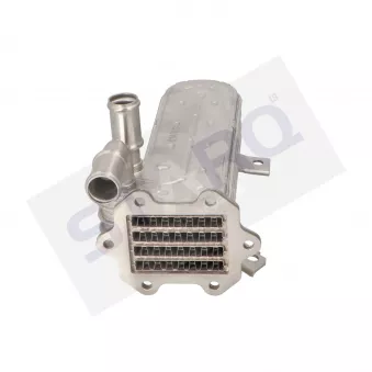 Module-EGR STARQ OEM 038131512H