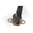 STARQ SQ323-16102 - Capteur d'angle, vilebrequin