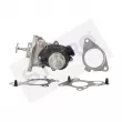 Vanne EGR STARQ [SQ322-02298]