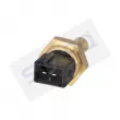 STARQ SQ421-02102 - Sonde de température, liquide de refroidissement