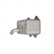 CLIMTEX CH8-060 - Radiateur d'huile
