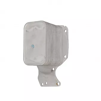 CLIMTEX CH8-183 - Radiateur d'huile