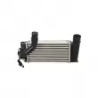 CLIMTEX CH4-832 - Intercooler, échangeur