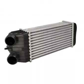 Intercooler, échangeur CLIMTEX OEM e256091