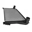CLIMTEX CH4-290 - Intercooler, échangeur