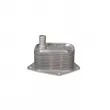 CLIMTEX CH8-101 - Radiateur d'huile