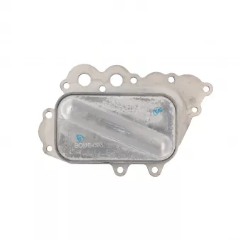 CLIMTEX CH8-253 - Radiateur d'huile