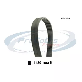 PROCODIS FRANCE 6PK1480 - Courroie trapézoïdale à nervures