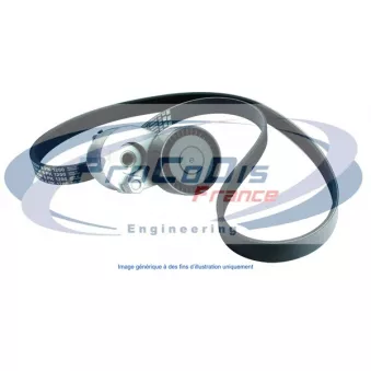 Jeu de courroies trapézoïdales à nervures PROCODIS FRANCE [KGA5013]