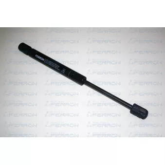 FERRON 1111 - Vérin, capote