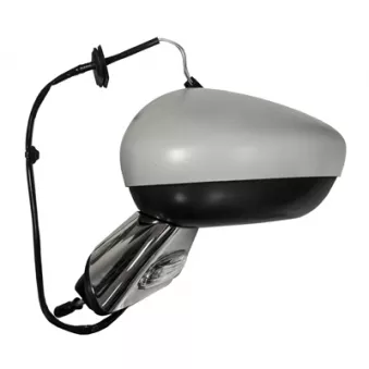 Rétroviseur extérieur FERRON [11CI32404]