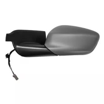 FERRON 11CI50002 - Rétroviseur extérieur