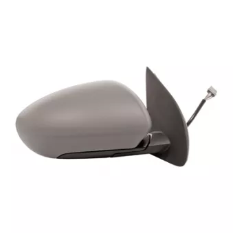 FERRON 11DS71001G - Rétroviseur extérieur