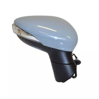 FERRON 11FD34401G - Rétroviseur extérieur