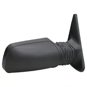 FERRON 11PG01701 - Rétroviseur extérieur