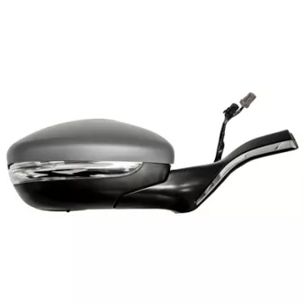 FERRON 11PG32603G - Rétroviseur extérieur