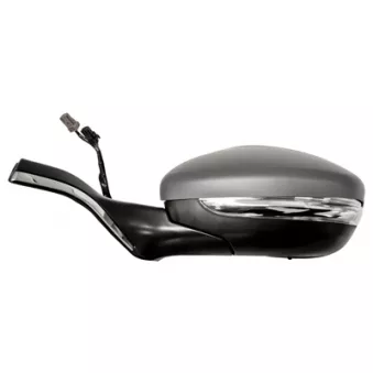 FERRON 11PG32604G - Rétroviseur extérieur