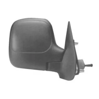FERRON 11PG90401 - Rétroviseur extérieur