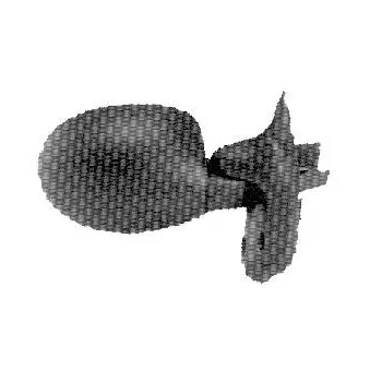 Rétroviseur extérieur FERRON [11RN02501]