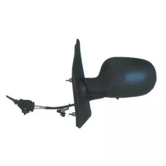 FERRON 11RN03002 - Rétroviseur extérieur
