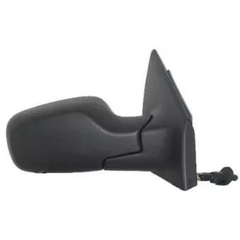 FERRON 11RN32501 - Rétroviseur extérieur