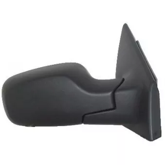 FERRON 11RN32501G - Rétroviseur extérieur
