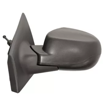 FERRON 11RN32702G - Rétroviseur extérieur