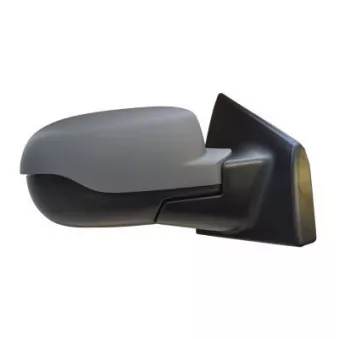 FERRON 11RN32703G - Rétroviseur extérieur