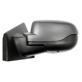 Rétroviseur extérieur FERRON [11RN32706G]