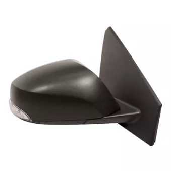 Rétroviseur extérieur FERRON [11RN42401G]