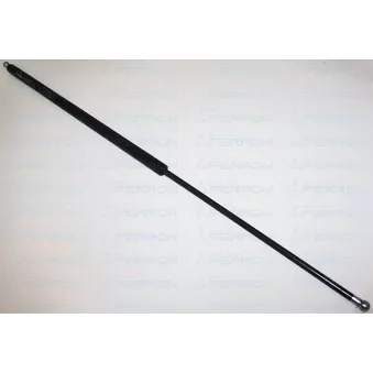 FERRON 1333 - Vérin de hayon, de coffre