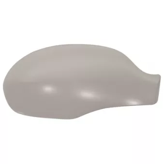 Revêtement, rétroviseur extérieur FERRON [13CI52001]