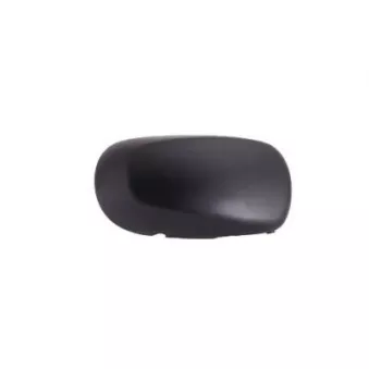 FERRON 13RN30801 - Revêtement, rétroviseur extérieur