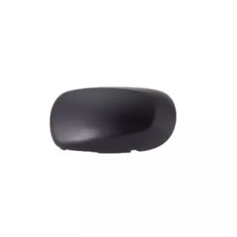 FERRON 13RN30802 - Revêtement, rétroviseur extérieur