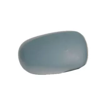 FERRON 13RN30803 - Revêtement, rétroviseur extérieur