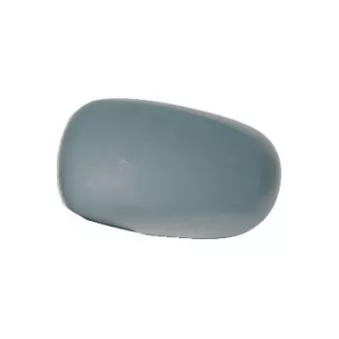 Revêtement, rétroviseur extérieur FERRON [13RN30804]