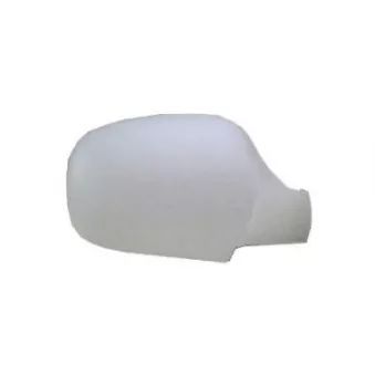 FERRON 13RN32203 - Revêtement, rétroviseur extérieur