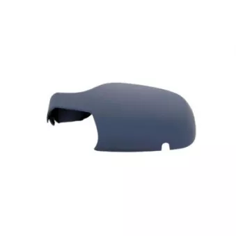 FERRON 13RN32504 - Revêtement, rétroviseur extérieur