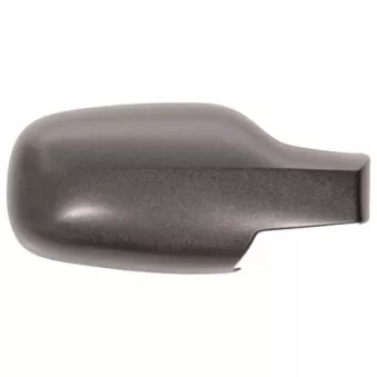 FERRON 13RN42003 - Revêtement, rétroviseur extérieur