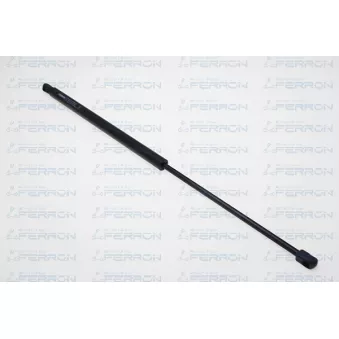 Vérin de hayon, de coffre FERRON [1531]