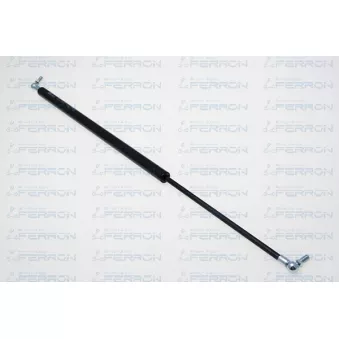 Vérin de hayon, de coffre FERRON [294]