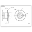 Disque de frein arrière HART [215 304]