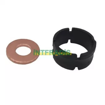 INTFRADIS 10121 - Kit de joints, injecteur