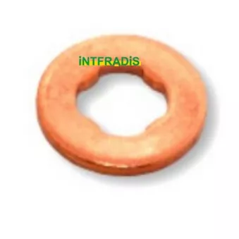 INTFRADIS 10198 - Bague d'étanchéité, porte-injecteur